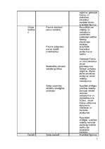Konspekts 'Galvenā grāmatveža amata apraksts', 7.