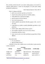 Prakses atskaite 'Prakses atskaite pedagoģijā', 7.