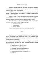 Referāts 'Silikātu rūpniecība', 3.