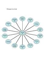 Referāts 'Saskarsme, tās problēmas pedagoģiskajā procesā', 13.