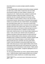 Konspekts '"Citādība", ienaidnieka tēls un politiskais protests kultūrā', 5.