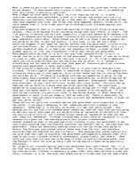 Eseja 'Brief Essay over Political Violence in the US', 1.