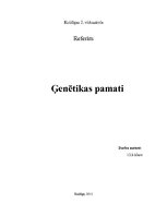 Referāts 'Ģenētikas pamati', 1.