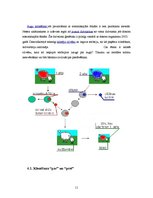 Referāts 'Ģenētikas pamati', 11.