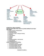Konspekts 'Mārketinga vadība', 11.