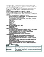 Konspekts 'Mārketinga vadība', 17.