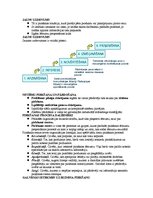 Konspekts 'Mārketinga vadība', 19.