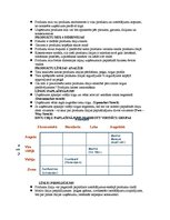 Konspekts 'Mārketinga vadība', 28.