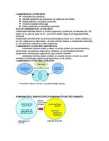 Konspekts 'Mārketinga vadība', 42.