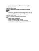 Konspekts 'Mārketinga vadība', 45.