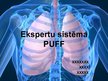 Prezentācija 'Ekspertu sistēma plaušu funkcionālo datu novērtēšanai', 1.