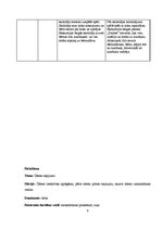 Prakses atskaite 'Prakse bērnudārzā', 9.