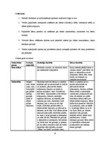 Prakses atskaite 'Prakse bērnudārzā', 10.