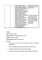 Prakses atskaite 'Prakse bērnudārzā', 16.