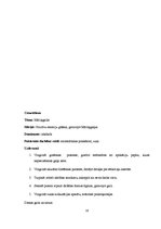 Prakses atskaite 'Prakse bērnudārzā', 18.