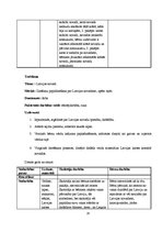 Prakses atskaite 'Prakse bērnudārzā', 24.