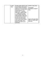 Prakses atskaite 'Prakse bērnudārzā', 27.