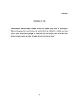 Prakses atskaite 'Prakse bērnudārzā', 32.