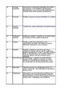 Konspekts 'Finanšu terminu vārdnīca', 2.