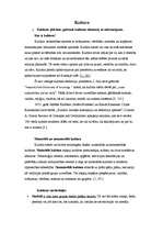 Konspekts 'Kultūra', 1.