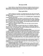 Referāts 'Ziepes', 4.