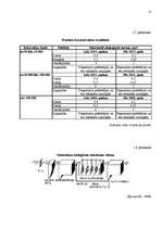 Referāts 'Ūdens - lielākā bagātība', 15.