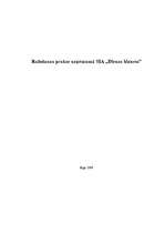 Prakses atskaite 'Ražošanas prakse uzņēmumā "Dienas bizness"', 1.