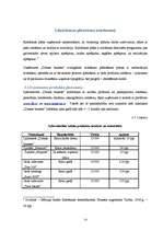 Prakses atskaite 'Ražošanas prakse uzņēmumā "Dienas bizness"', 13.