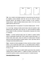 Prakses atskaite 'Ražošanas prakse uzņēmumā "Dienas bizness"', 17.