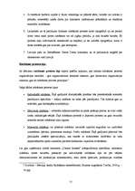 Prakses atskaite 'Ražošanas prakse uzņēmumā "Dienas bizness"', 21.