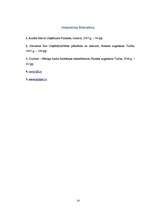 Prakses atskaite 'Ražošanas prakse uzņēmumā "Dienas bizness"', 33.