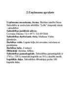 Biznesa plāns 'Biznesa plāns', 1.