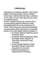 Biznesa plāns 'Biznesa plāns', 7.