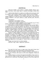 Referāts 'Svētā Pāvila darbības virzienu ietekme uz mūsdienu sabiedrību', 2.