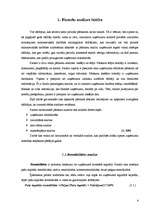 Referāts 'A/S "Latvijas Balzams" finanšu analīze', 4.