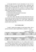 Referāts 'A/S "Latvijas Balzams" finanšu analīze', 12.