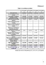 Referāts 'A/S "Latvijas Balzams" finanšu analīze', 26.