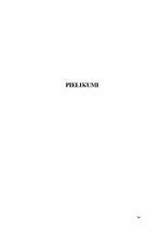 Referāts 'Tēmas "Skaitļu 8 un 9 pieskaitīšana un atņemšana" apguve 2.klasē', 34.