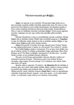 Referāts 'Beļģija', 9.