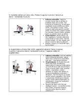 Konspekts 'Fitnesa vingrinājumi', 3.