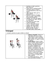 Konspekts 'Fitnesa vingrinājumi', 7.