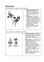 Konspekts 'Fitnesa vingrinājumi', 14.