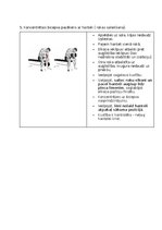 Konspekts 'Fitnesa vingrinājumi', 16.