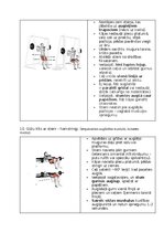Konspekts 'Fitnesa vingrinājumi', 26.