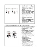 Konspekts 'Fitnesa vingrinājumi', 38.