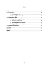 Referāts 'Nelaimes gadījumu cēloņi', 2.