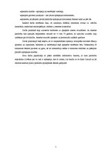 Referāts 'Epilepsija', 5.