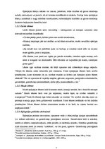 Referāts 'Epilepsija', 7.