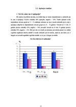 Referāts 'Epilepsija', 13.