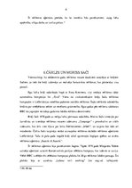 Referāts 'Grāmata "Reklāmzeme"', 8.